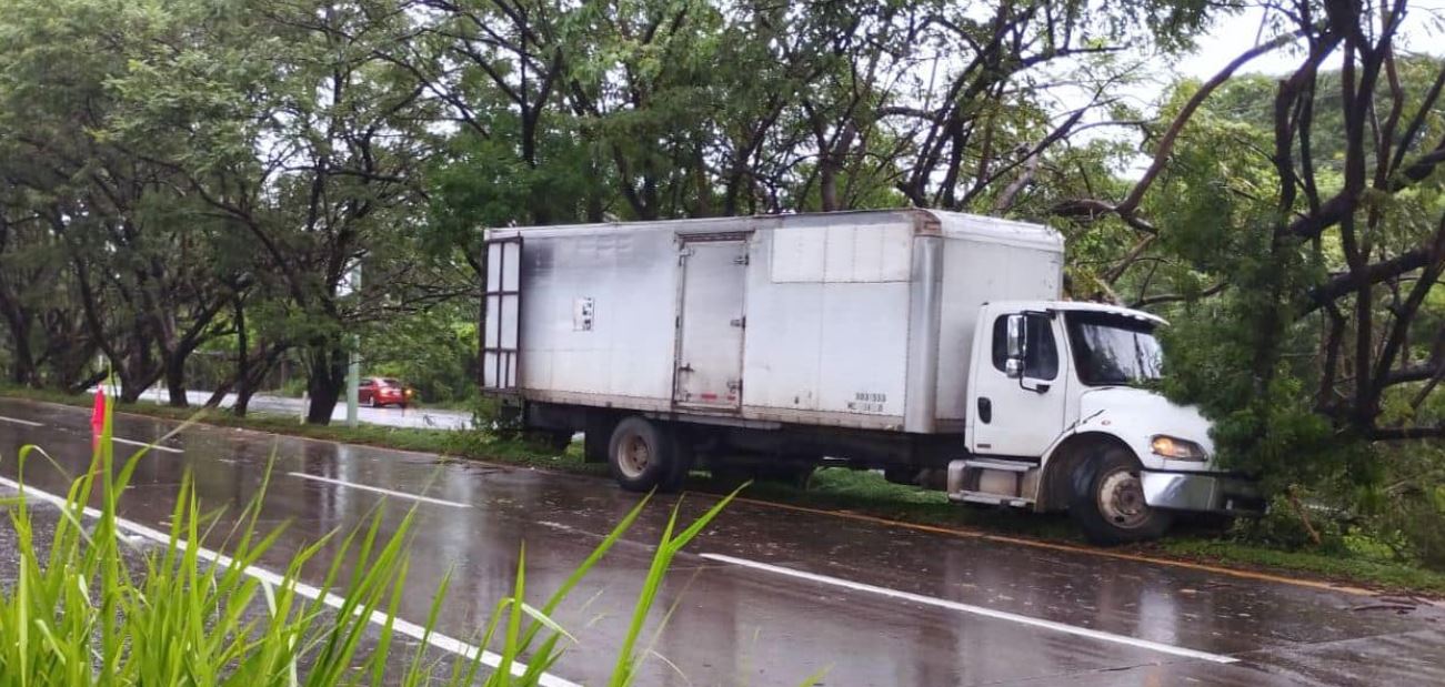 Conductor pierde el control y camión choca contra un árbol en Autopista ...